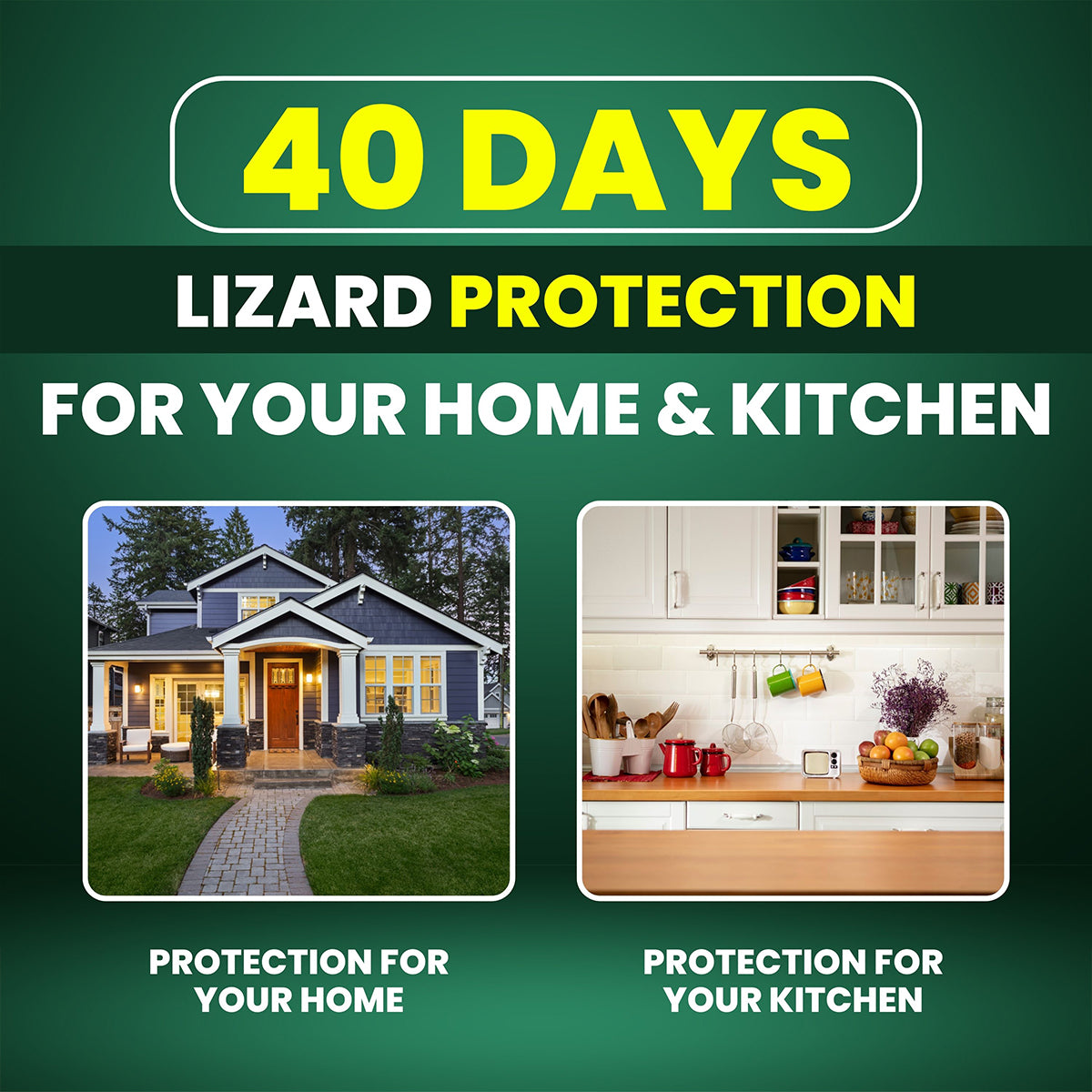 REPL™ Natural Lizard Repellent Spray for Home: Safe for Kids,Pet & Adult -250ml