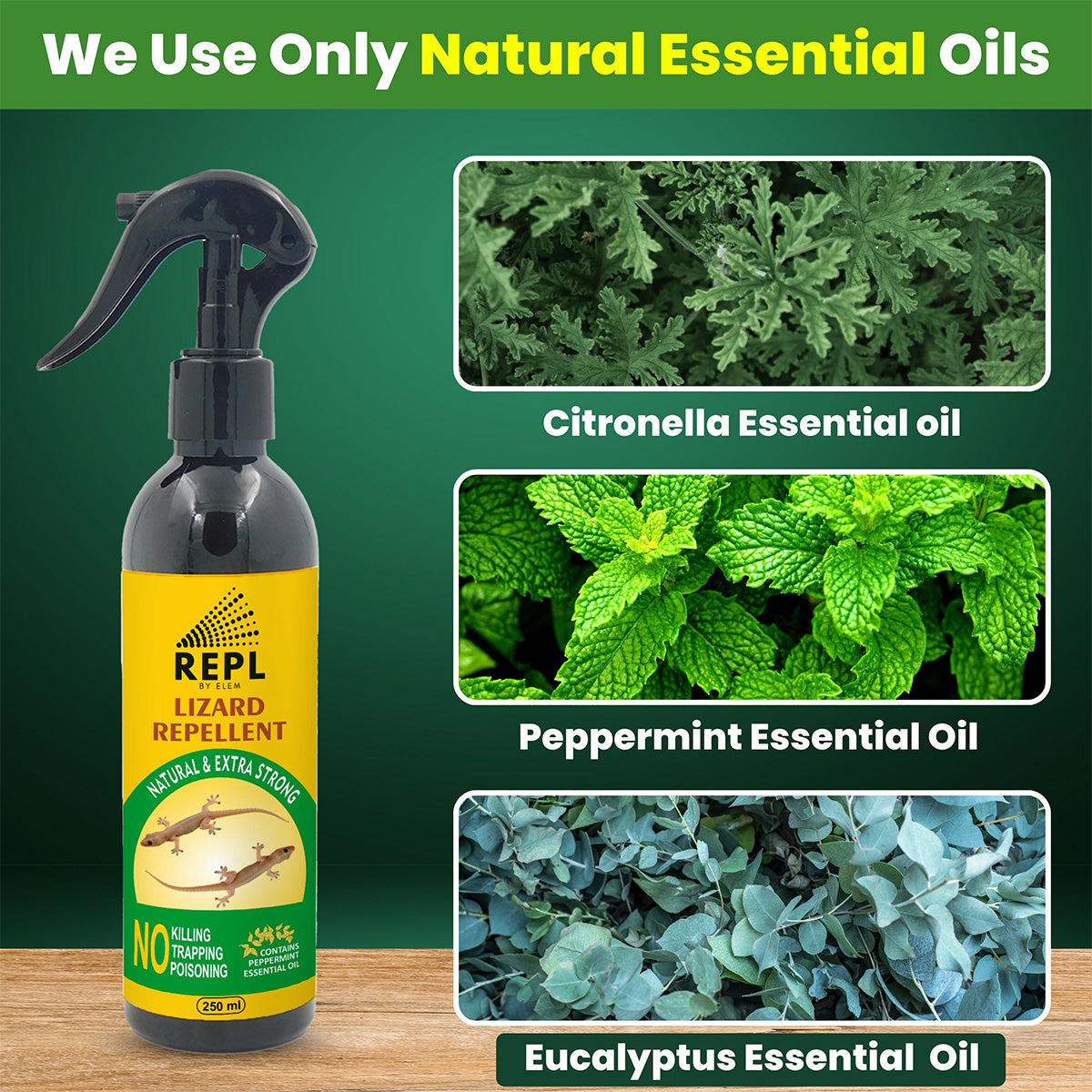 REPL™ Natural Lizard Repellent Spray for Home: Safe for Kids,Pet & Adult -250ml