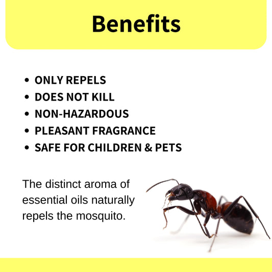 REPL™ Herbal Ant Repellent Spray for Home and Office -250ml