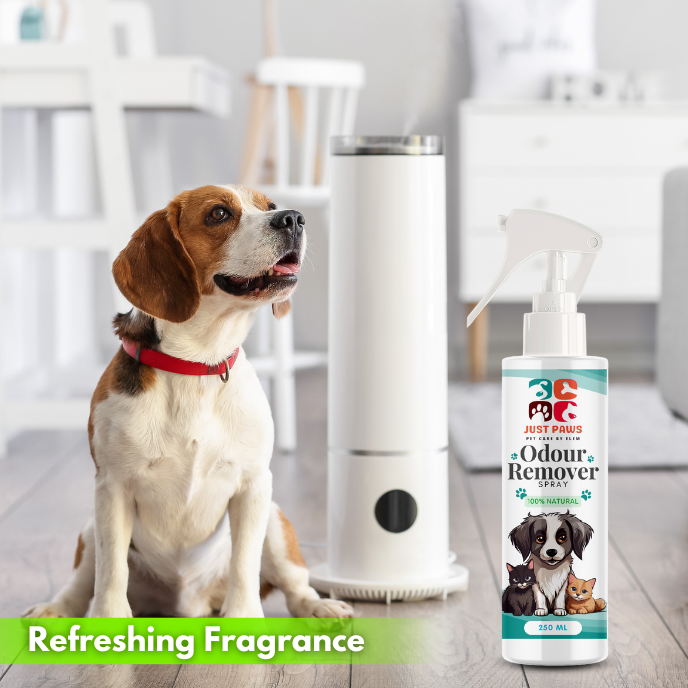 Just Paws Odour Remover for Dogs and Cats Dog Odour and urine