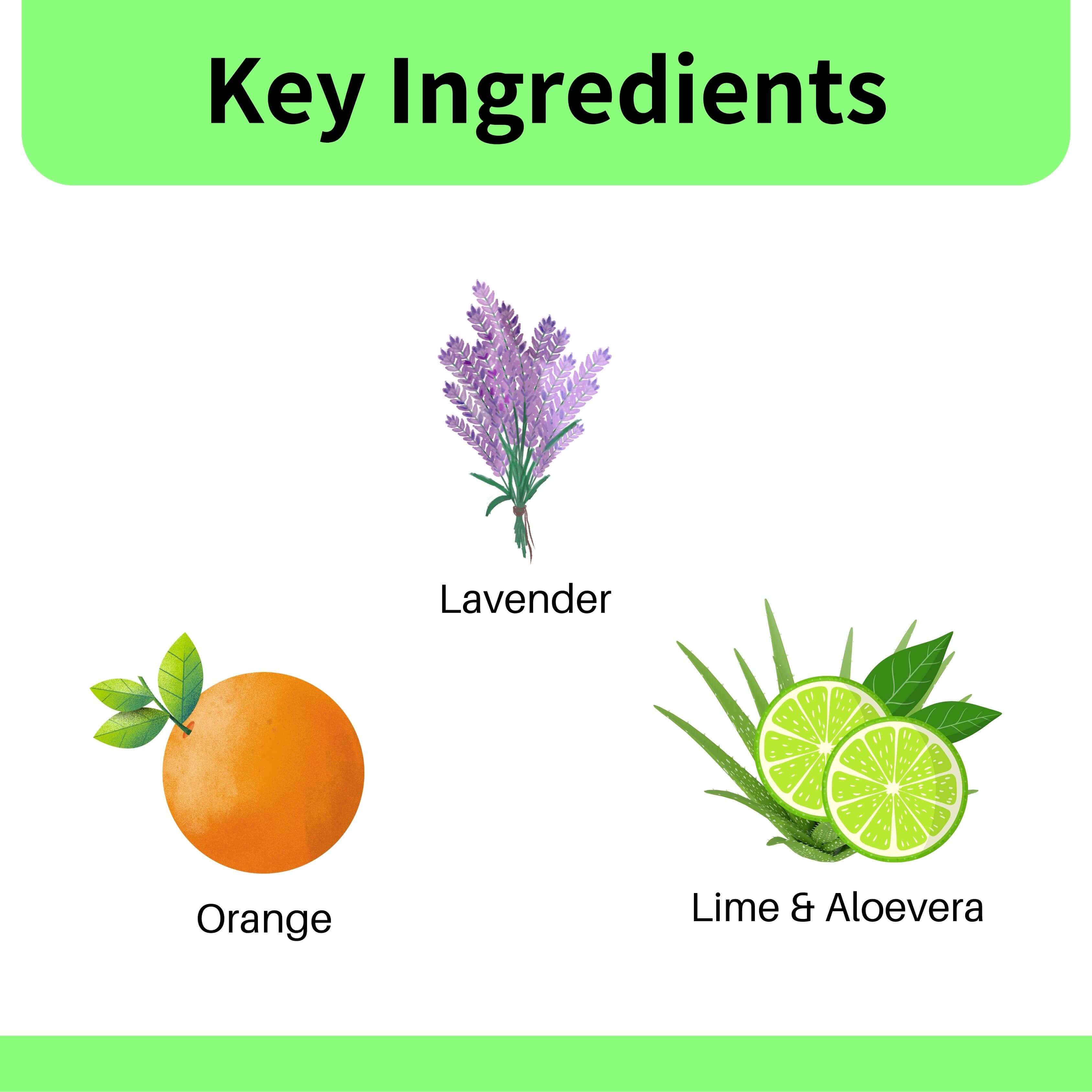 Elem Hand Sanitizer Spray Pack of 3 -200 ml | Lavender, Lime & Aloe, and Orange Fragrance